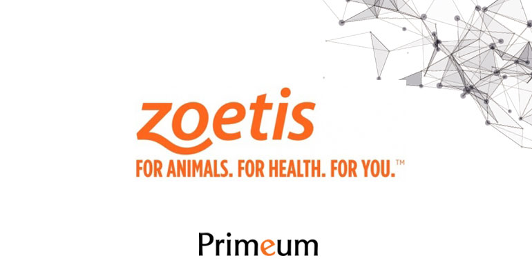 Zoetis, leader mondial de la santé animale refond ses dispositifs de primes